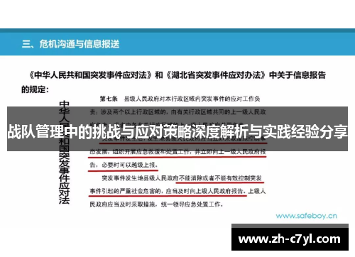 战队管理中的挑战与应对策略深度解析与实践经验分享