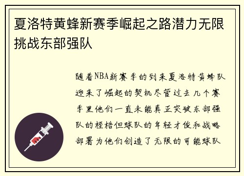 夏洛特黄蜂新赛季崛起之路潜力无限挑战东部强队